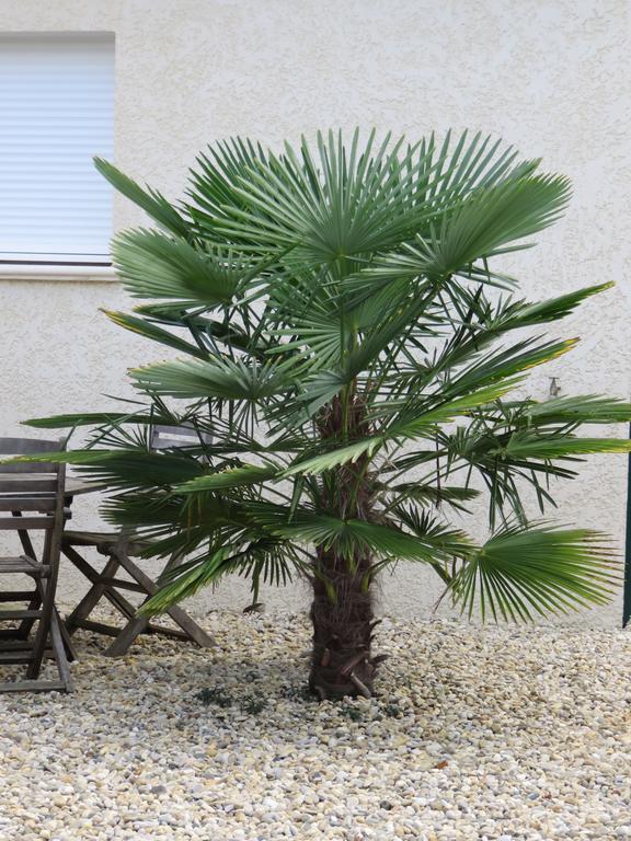 Malataverne La Petite Maison מראה חיצוני תמונה