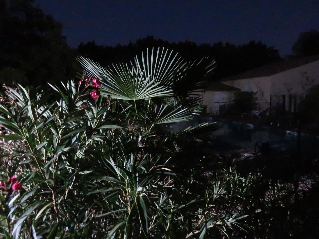 Malataverne La Petite Maison מראה חיצוני תמונה